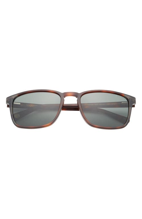 Ted Baker London 56mm Polarized Square Sunglasses In Tortoise