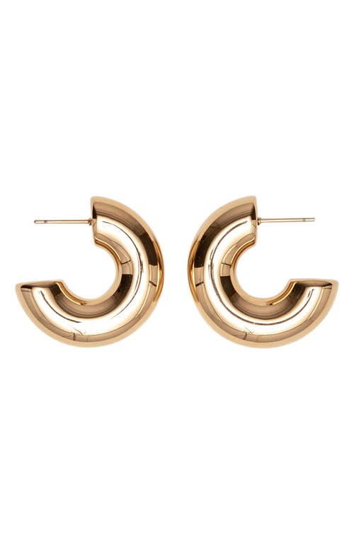 st. Moran Chunky Hoop Earrings in Gold 