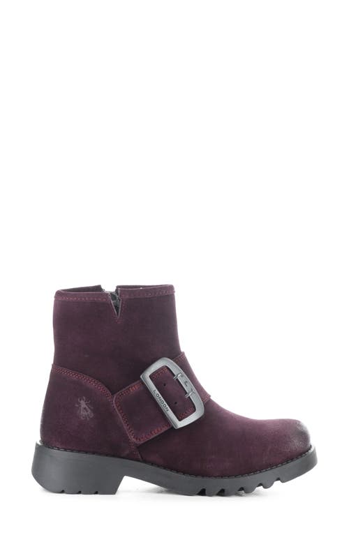 Shop Fly London Rily Bootie In Purple Oil Suede