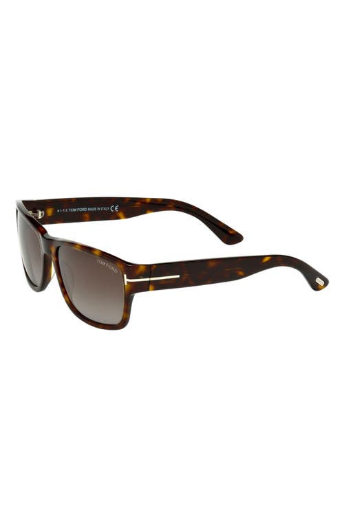 Tom Ford 56mm Square Sunglasses In Havana/green