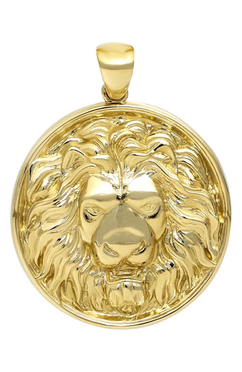 Bony Levy Men's 14K Gold Lion Medallion in 14K Yellow Gold at Nordstrom
