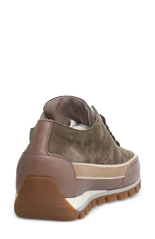 Shop Candice Cooper Janis Strip Sneaker In Army Green