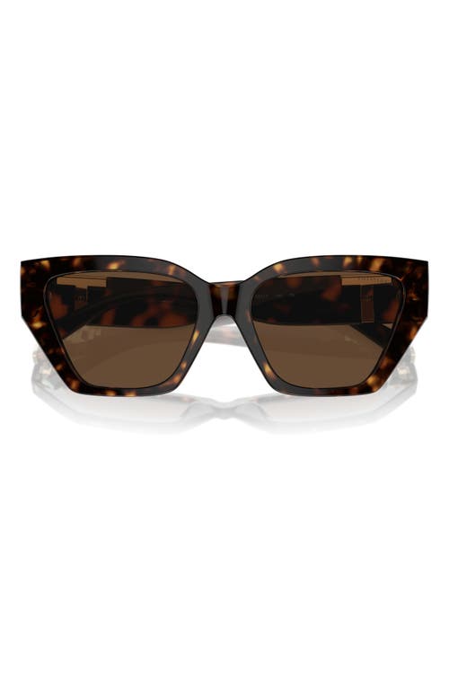 Shop Tiffany & Co . 55mm Cat Eye Sunglasses In Havana