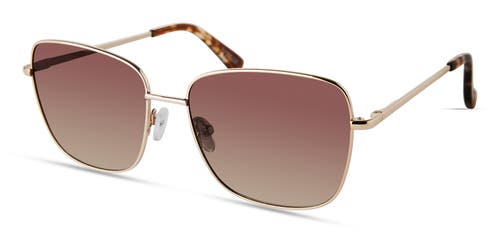 Derek Lam 10 Crosby Millie Sunglasses In Gold Brown