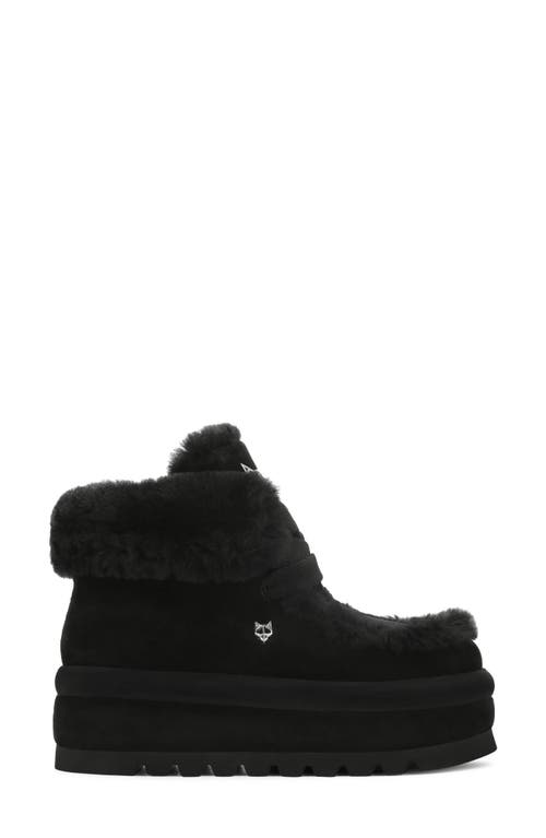 Naked Wolfe Bambi Genuine Shearling Platform Bootie In Black-suede/shearling