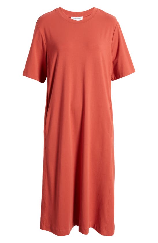 Shop Nordstrom Stretch Cotton Midi T-shirt Dress In Rust Spice