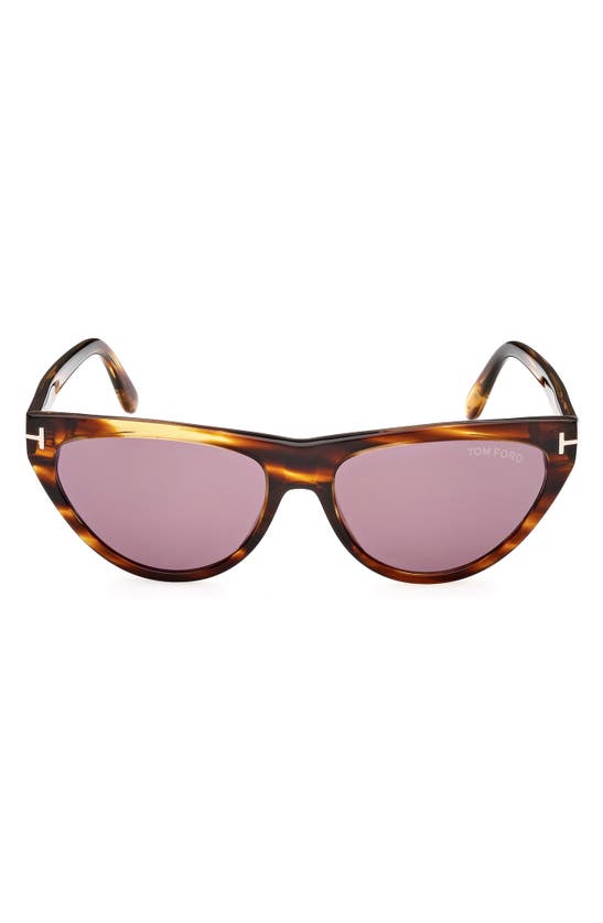 Tom Ford Amber 56mm Cat Eye Sunglasses In Brown/ Havana/ Violet