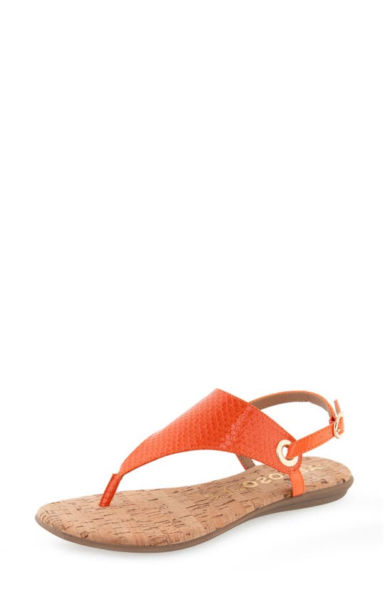Shop Aerosoles Conclusion Slingback Sandal In Mandarin Snake Patent Pu