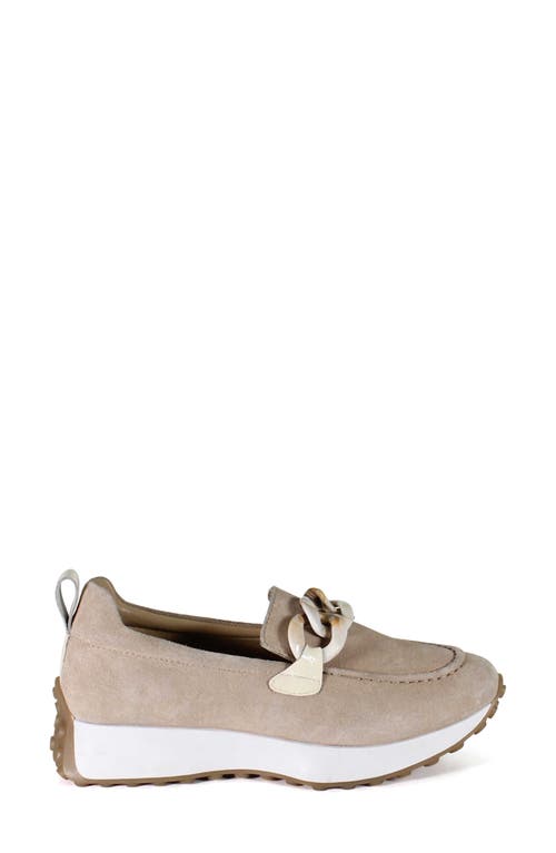 Shop Diba True Kind Words Loafer In Taupe