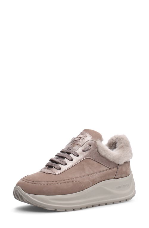 Candice Cooper Spark One Genuine Shearling Lined Sneaker in Beige -Rose Gold