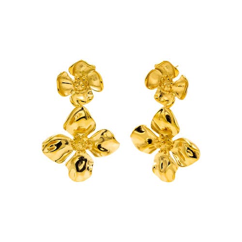 Shop Adina Eden By  Double Graduated Flower Statement Stud Earring In Gold