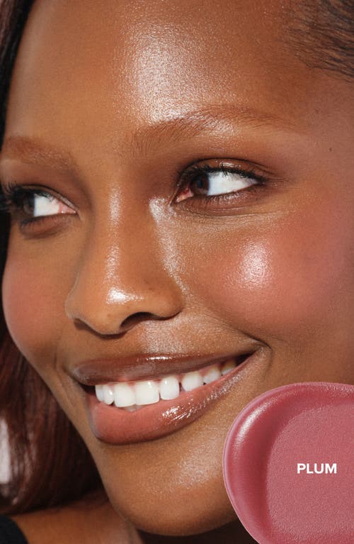 Anastasia Beverly Hills Blurring Serum Blush In Plum