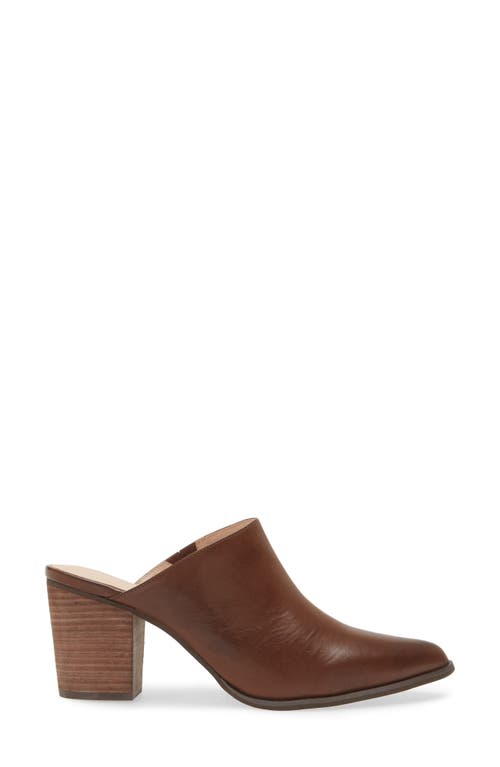 Shop Chocolat Blu Emery Pointed Toe Mule In Dark Brown Leather