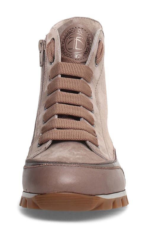 Candice Cooper Beige Nappa Leather High-top Sneaker In Taupe