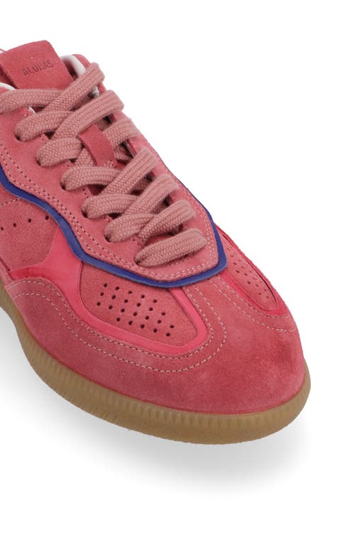 Shop Alohas Rife Sneaker In Pink