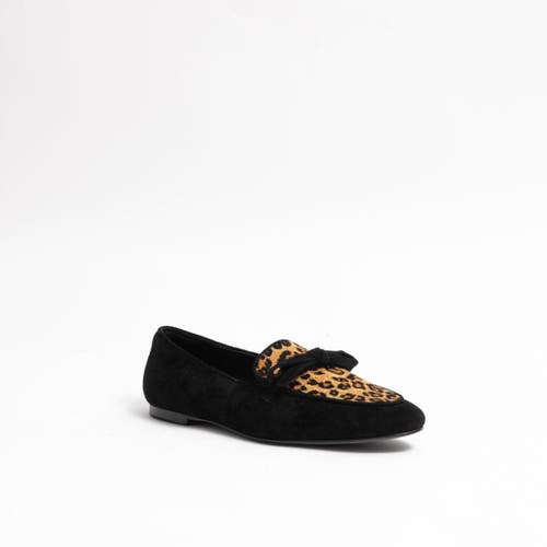 Shop Cecelia New York Elizabeth Bow Embellished Loafer In Blksudeblkleo