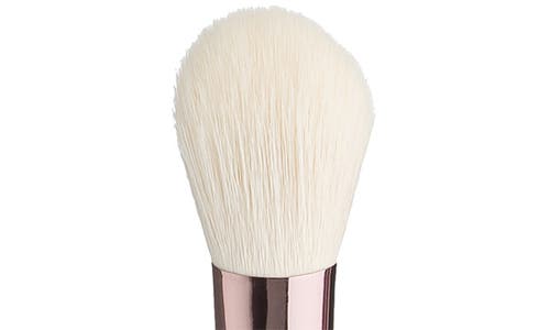 Shop Jenny Patinkin Sustainable Luxury Blend/set Brush In Rose Gold