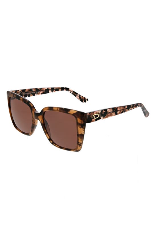 Shop Oscar De La Renta 52mm Butterfly Sunglasses In Taupe Demi