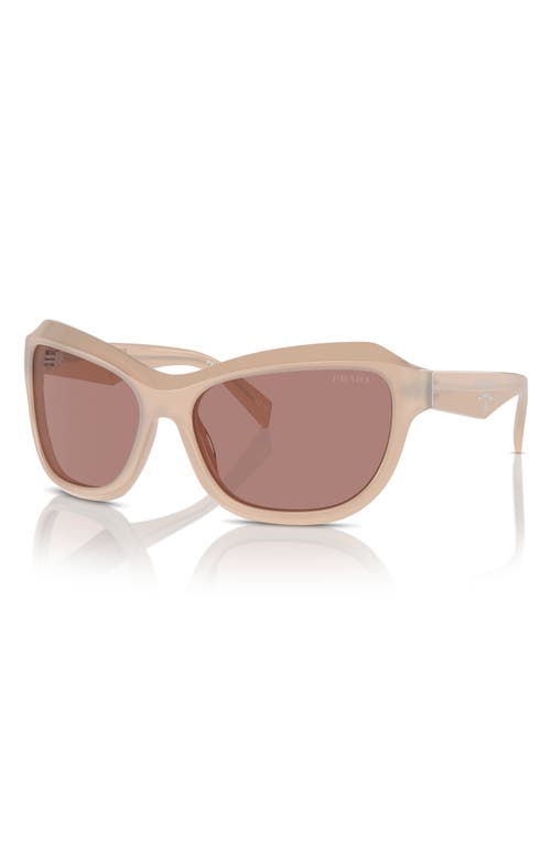 Prada 63mm Oversize Butterfly Sunglasses In Lite Brown