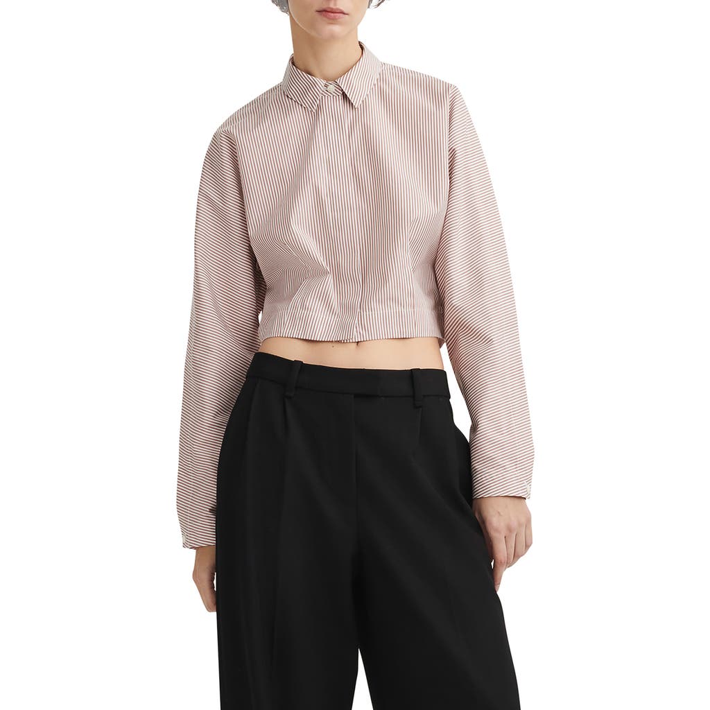 Rag & Bone Morgan Stripe Cropped Shirt In Brown Stripe