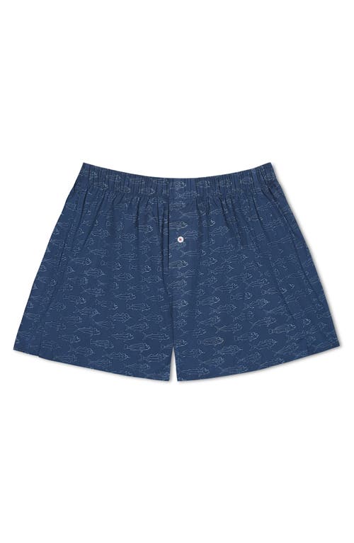 Druthers Nyc Organic Cotton School Of Fish Boxer Short In Navy Fish