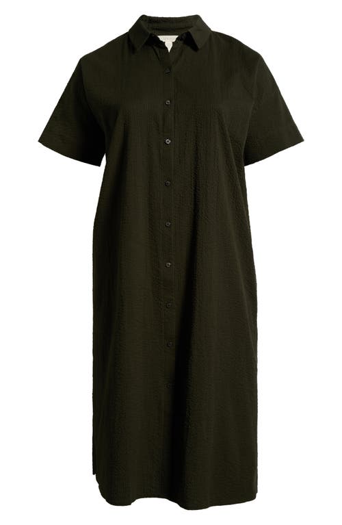 Shop Eileen Fisher Short Sleeve Organic Cotton Shirtdress In Seaweed