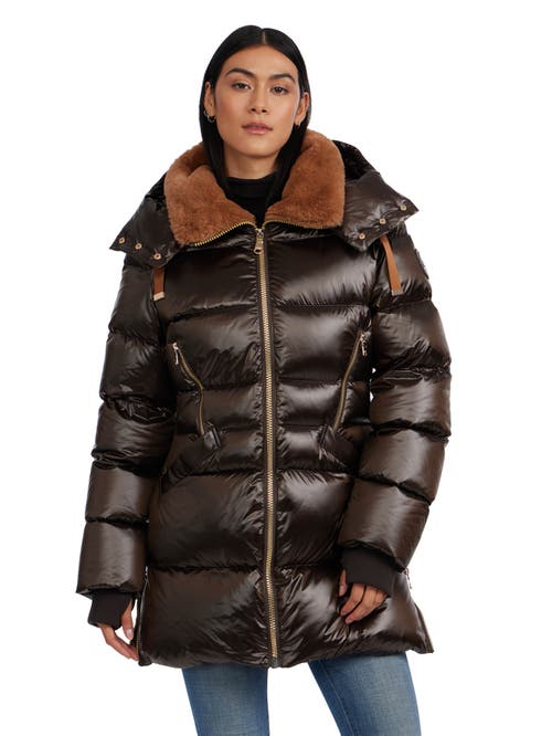 Pajar Lyra Channel Quilted Puffer With Detachable Hood In Dark Oak