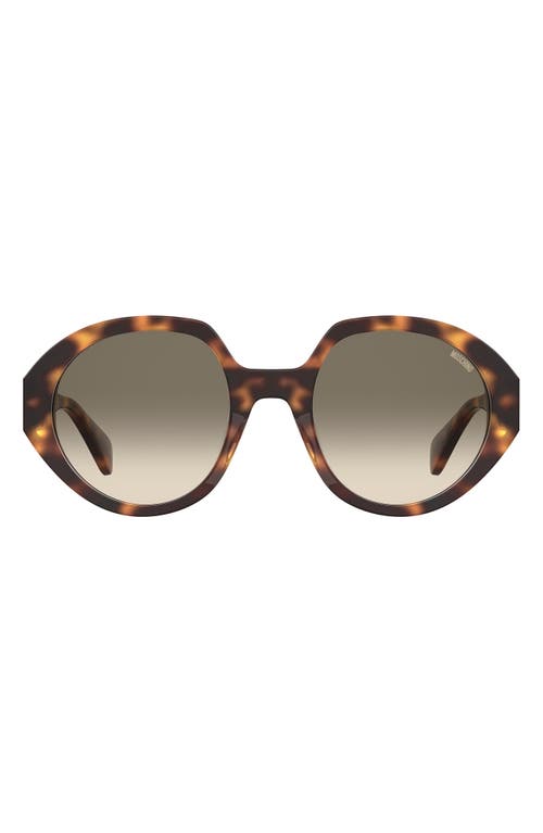 Moschino 53mm Gradient Round Sunglasses in Havana 2/green Shaded at Nordstrom