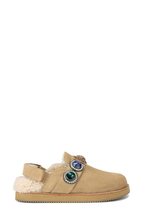 Shop Kurt Geiger London Octavia Genuine Shearling Lined Clog In Dark Beige