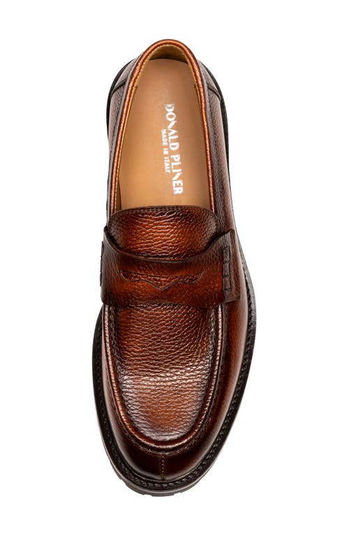 Shop Donald Pliner Lug Penny Loafer In Cognac