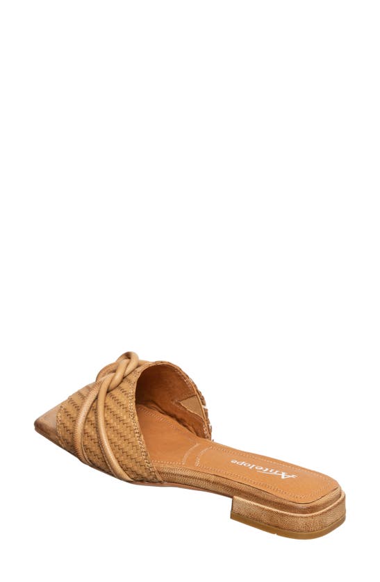 Shop Antelope Adanna Slide Sandal In Taupe Leather