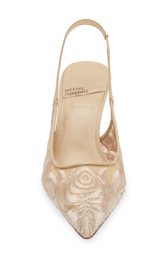 Shop Jeffrey Campbell Lofficele Embroidered Mesh Slingback Pointed Toe Pump In Natural Lace