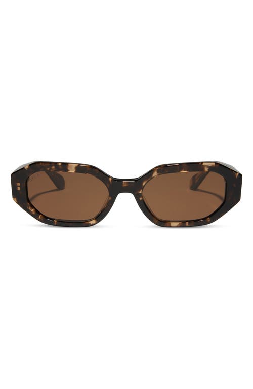 Allegra 53mm Polarized Oval Sunglasses in Brown