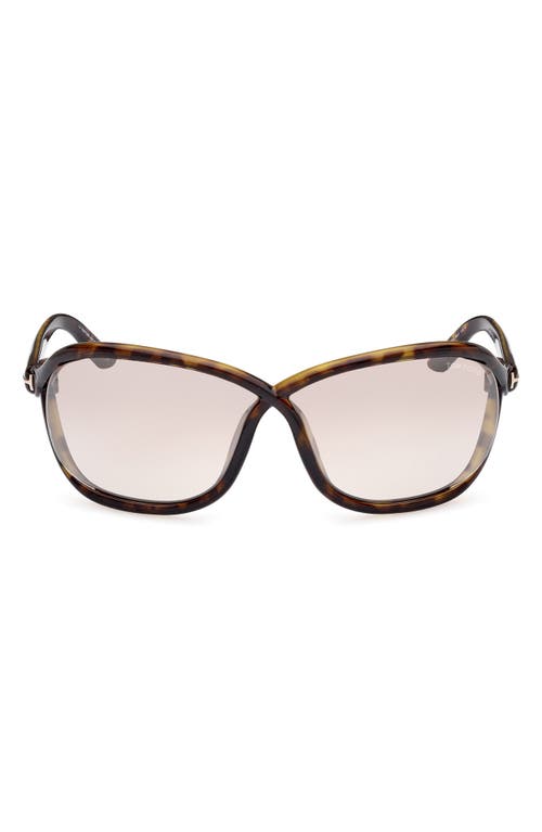 TOM FORD Fernanda 68mm Oversize Butterfly Sunglasses in Classic Dark Havana /Silver at Nordstrom