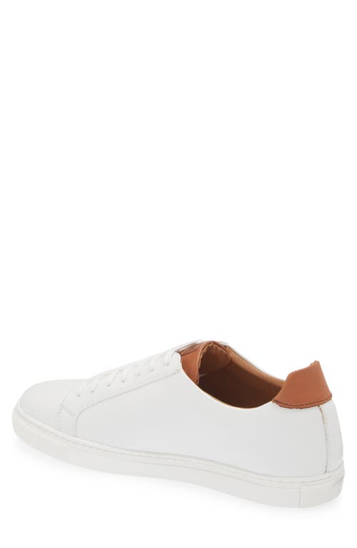 Bruno Magli Daniel Low Top Sneaker In White