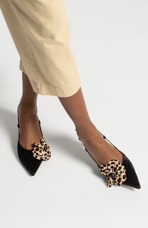 Frances Valentine Flower Genuine Calf Hair Kitten Heel Slingback Pump In Haircalf Black