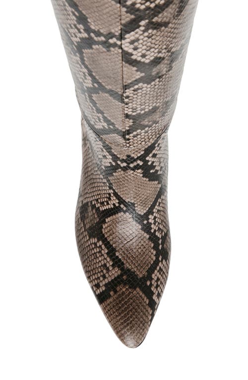 Shop Anne Klein Beth Snakeskin Embossed Knee High Boot In Natural/snake Pu