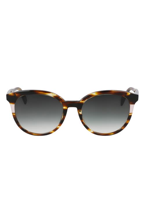 Longchamp Heritage 55mm Gradient Round Sunglasses In Striped Brown