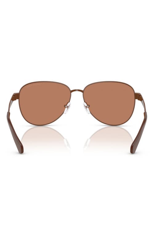 Michael Kors 59mm Pilot Sunglasses In Brown