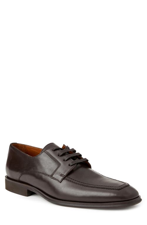 Bruno Magli Raging Lace Up Derby Dark Brown at Nordstrom,