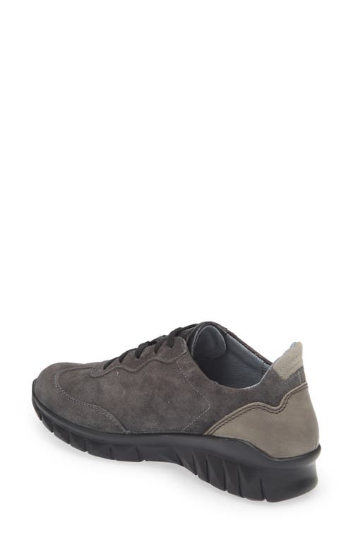 Naot Infinity Colorblock Sneaker In Oily Midnight Suede Gray Combo