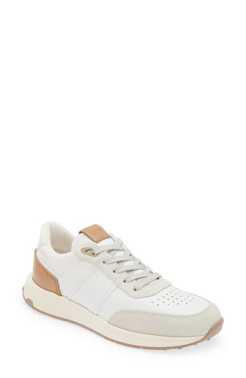 Tod's Two-tone Leather Sneaker In Bianco/nocciola Chiaro