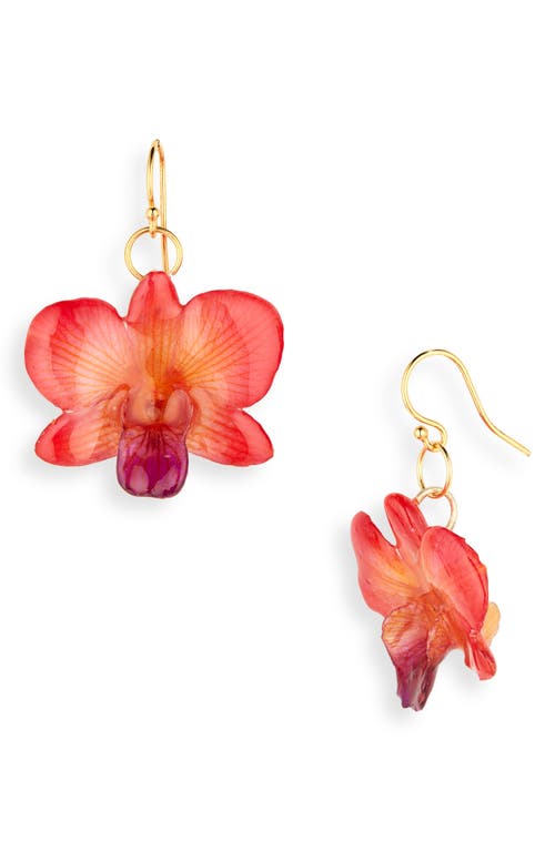 Dauphinette Mini Golden Orchid Earrings in Red