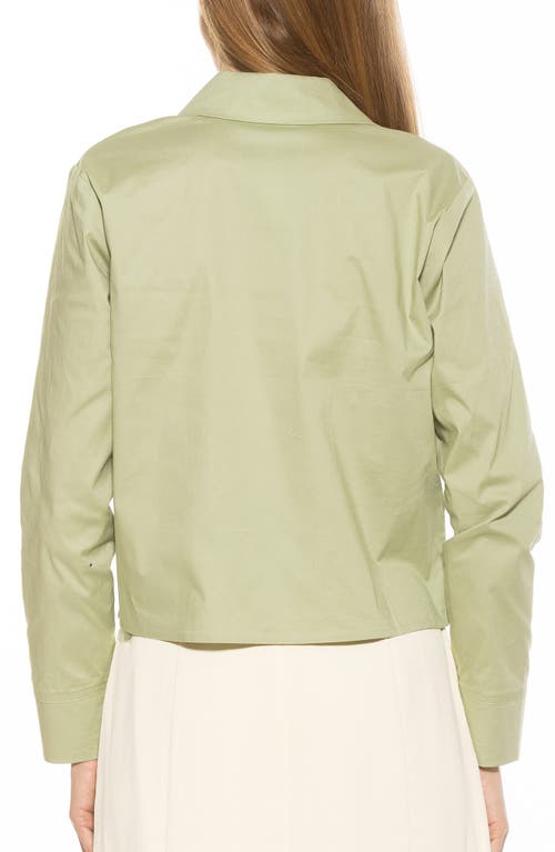 Shop Alexia Admor Roxanne Cotton Button-up Shirt In Sage