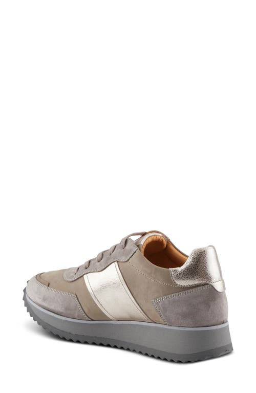 Spring Step Compter Sneaker In Grey Suede