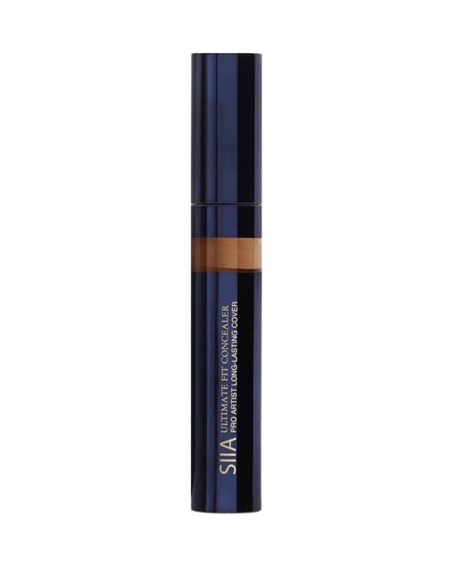 Shop Siia Cosmetics Ultimate Fit Concealer In Chestnut