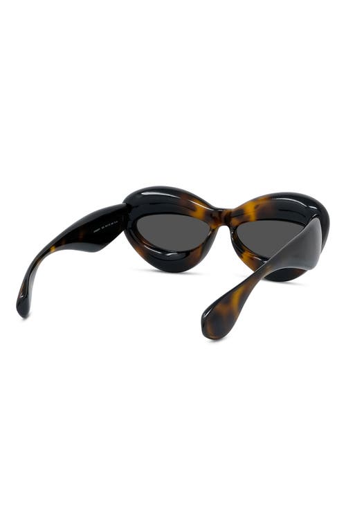 Shop Loewe 55mm Cat Eye Sunglasses In Dark Havana/smoke