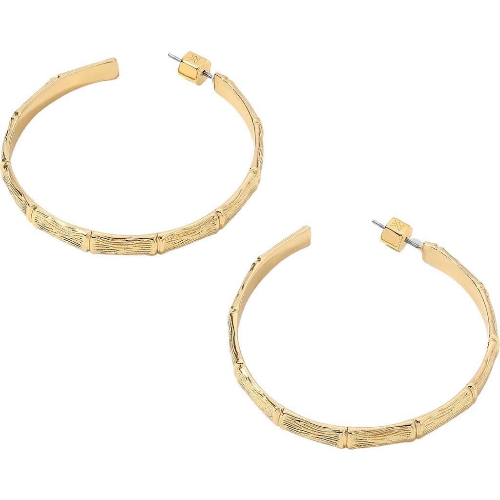 Miranda Frye Gia Hoop Earrings In Gold