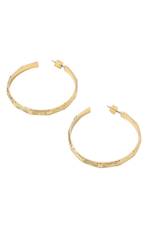 MIRANDA FRYE Gia Hoop Earrings in Gold at Nordstrom