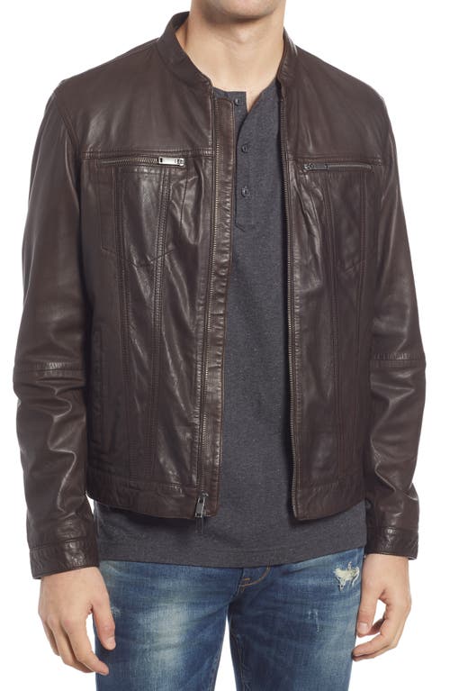 Band Collar Leather Jacket in Chocolate